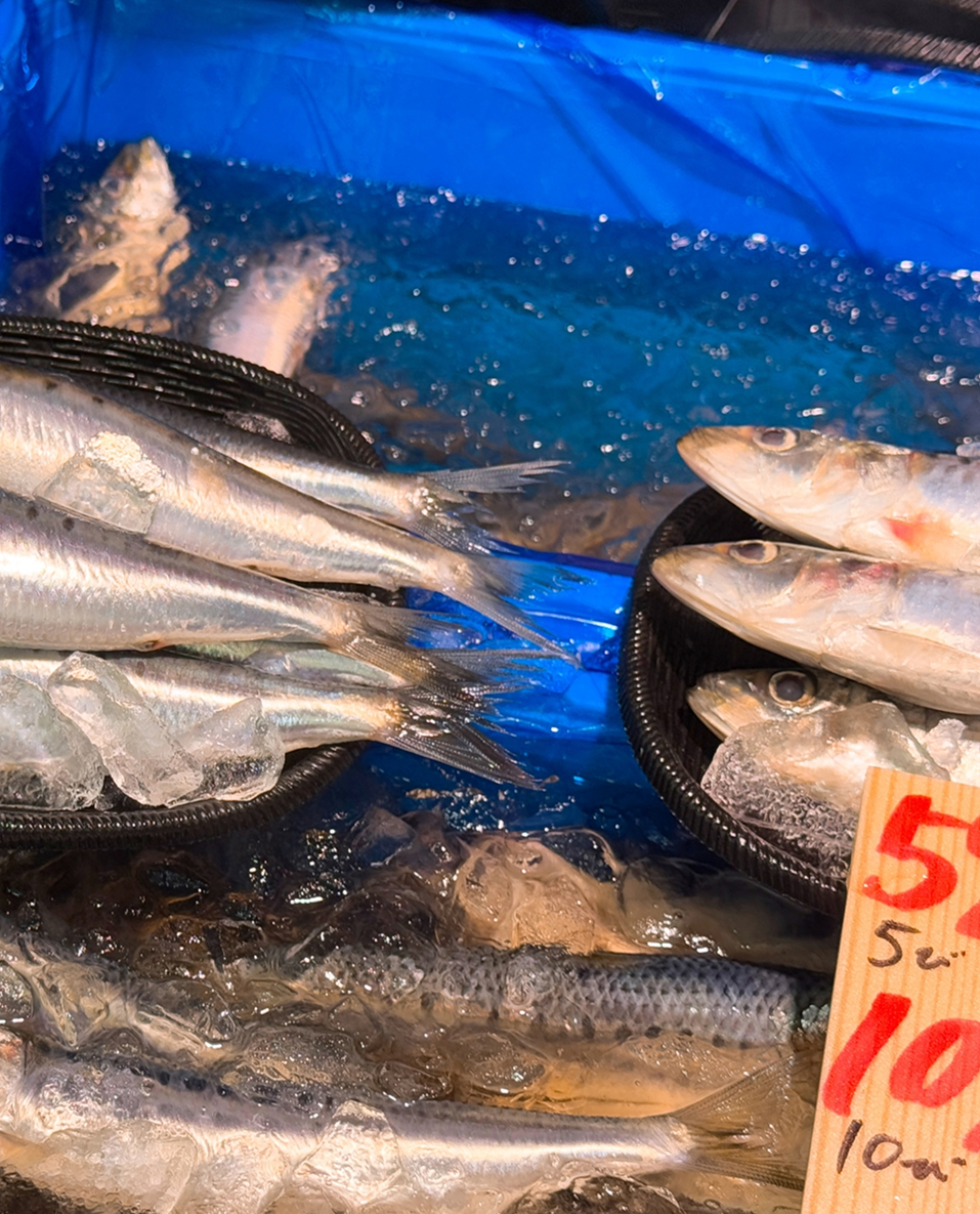 お魚